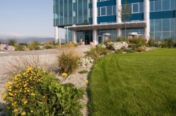 Sale & leaseback – an effective source of capital in not easy times