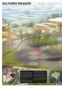 Soutěž o revitalizaci ostravské Černé louky vyhráli Nizozemci