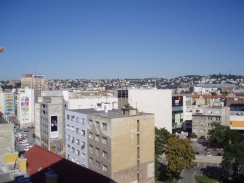 Realitný september 2010: Optimizmus legitímny, eufória predčasná