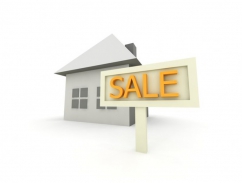 Na obchodní kvalitu si musíme ještě počkat