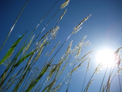 Realitní červen: nervózní letní bezvětří