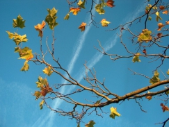 Realitní listopad: neklidné očekávání